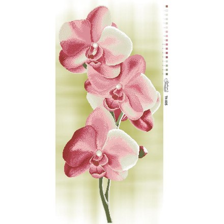 Схема картины Нежные Орхидеи для вышивки бисером на габардине ТК005пн4695 - Вышивка крестиком и бисером - Овца Рукодельница