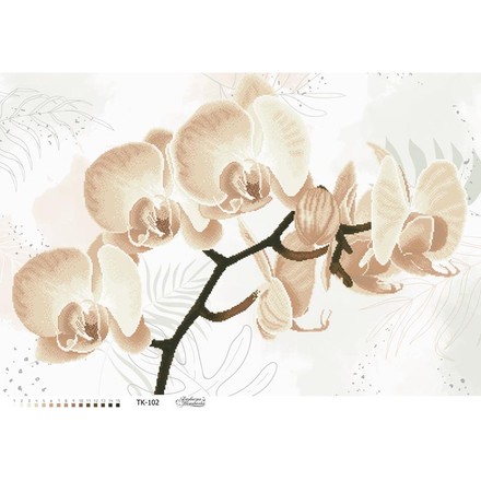 Схема картины Хрупкая бежевая орхидея для вышивки бисером на габардине ТК102пн8658 - Вышивка крестиком и бисером - Овца Рукодельница