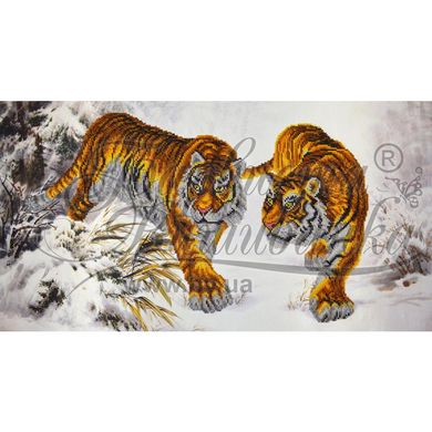 Схема картини Уссурійські тигри для вишивки бісером на тканині ТТ005пн6535 - Вишивка хрестиком і бісером - Овечка Рукодільниця