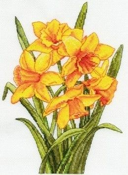 Набор для вышивания крестом DMC BK1179 Daffodils - Купить в интернет-магазине club-rukodelia.com Тел: 067-802-24-81 Купить Киев, Львов, Харьков, Винница, Одесса, Житомир, Чернигов, Сумы