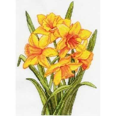 Daffodils. Набор для вышивания. DMC (BK1179) - Купить в интернет-магазине club-rukodelia.com Тел: 067-802-24-81 Купить Киев, Львов, Харьков, Винница, Одесса, Житомир, Чернигов, Сумы