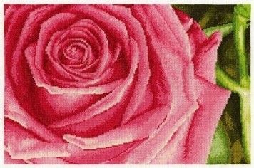 Набор для вышивания крестом DMC BK1336 Rose - Купить в интернет-магазине club-rukodelia.com Тел: 067-802-24-81 Купить Киев, Львов, Харьков, Винница, Одесса, Житомир, Чернигов, Сумы