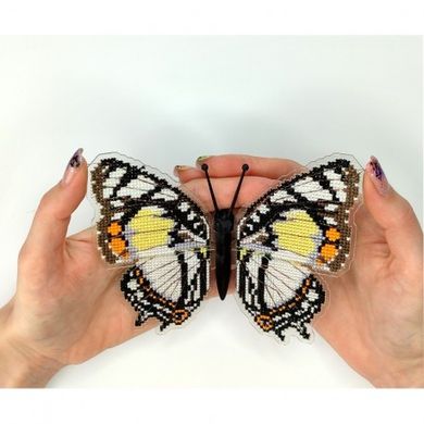 Charaxes nobilis. Метелик Набір для вишивання хрестиком ArtInspirate BUT-30 - Купить в интернет-магазине club-rukodelia.com Тел: 067-802-24-81 Купить Киев, Львов, Харьков, Винница, Одесса, Житомир, Чернигов, Сумы