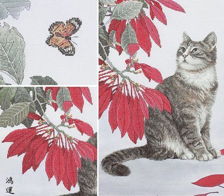 Пуансетії з котом Набір для вишивання хрестиком 2032305 Xiu Crafts - Купити в інтернет-магазині club-rukodelia.com Тел: 067-802-24-81  Купити Київ, Львів, Харків, Вінниця, Одеса, Житомир, Чернігів, Суми