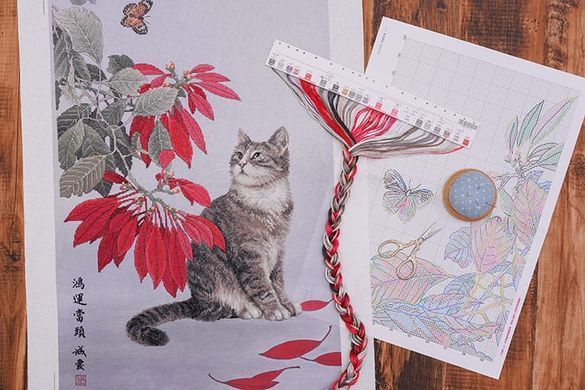 Пуансетії з котом Набір для вишивання хрестиком 2032305 Xiu Crafts - Купити в інтернет-магазині club-rukodelia.com Тел: 067-802-24-81  Купити Київ, Львів, Харків, Вінниця, Одеса, Житомир, Чернігів, Суми