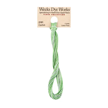 Муліне ручного фарбування Weeks Dye Works 2181 Cactus