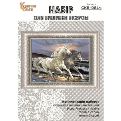 Набір для вишивки бісером Галопом по хвилях. Арт. ВКВ-81ч - Купить в интернет-магазине club-rukodelia.com Тел: 067-802-24-81 Купить Киев, Львов, Харьков, Винница, Одесса, Житомир, Чернигов, Сумы