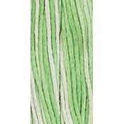Муліне ручного фарбування Weeks Dye Works 2186 Iceberg