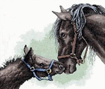 Набор для вышивания Dimensions 13722 Mother and Colt - Купить в интернет-магазине club-rukodelia.com Тел: 067-802-24-81 Купить Киев, Львов, Харьков, Винница, Одесса, Житомир, Чернигов, Сумы