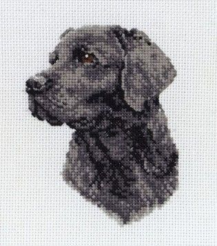 Набір для вишивання Anchor PCE218 Black Labrador / Чорний лабрадор - Купити в інтернет-магазині club-rukodelia.com Тел: 067-802-24-81  Купити Київ, Львів, Харків, Вінниця, Одеса, Житомир, Чернігів, Суми