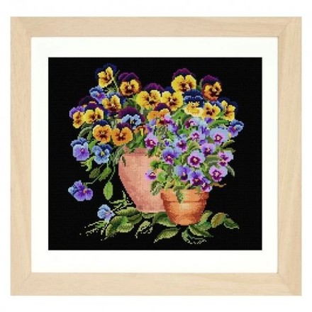 Potted Pansies Black Aida Набір для вишивання хрестиком Thea Gouverneur gouverneur_601.05 - Купити в інтернет-магазині club-rukodelia.com Тел: 067-802-24-81  Купити Київ, Львів, Харків, Вінниця, Одеса, Житомир, Чернігів, Суми