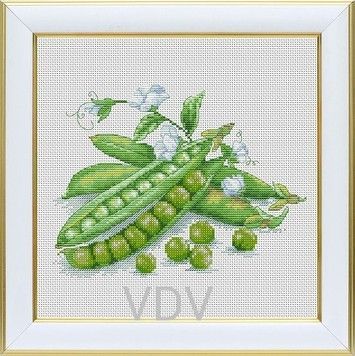 Горох Набор для вышивания крестом VDV М-0317 - Купить в интернет-магазине club-rukodelia.com Тел: 067-802-24-81 Купить Киев, Львов, Харьков, Винница, Одесса, Житомир, Чернигов, Сумы